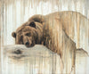 Nap Time Large Wall Art