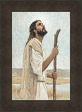 Our Shepherd