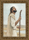 Our Shepherd