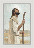 Our Shepherd