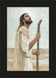 Our Shepherd