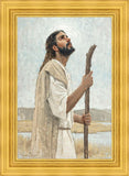 Our Shepherd