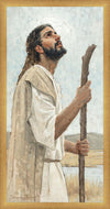 Our Shepherd