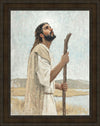 Our Shepherd