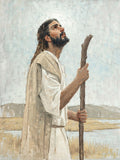 Our Shepherd