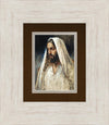 Alpha and Omega