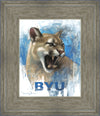 Go Cougs