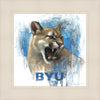 Go Cougs