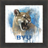 Go Cougs