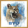 Go Cougs