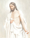 Risen