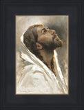 Beloved Son