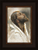 Beloved Son