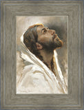 Beloved Son