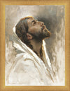 Beloved Son