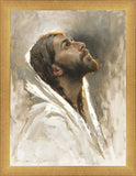 Beloved Son
