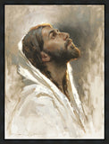 Beloved Son Gallery Wrap