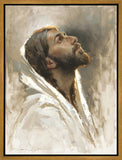 Beloved Son Gallery Wrap