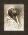 Beloved Son