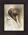 Beloved Son