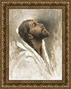 Beloved Son