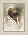 Beloved Son